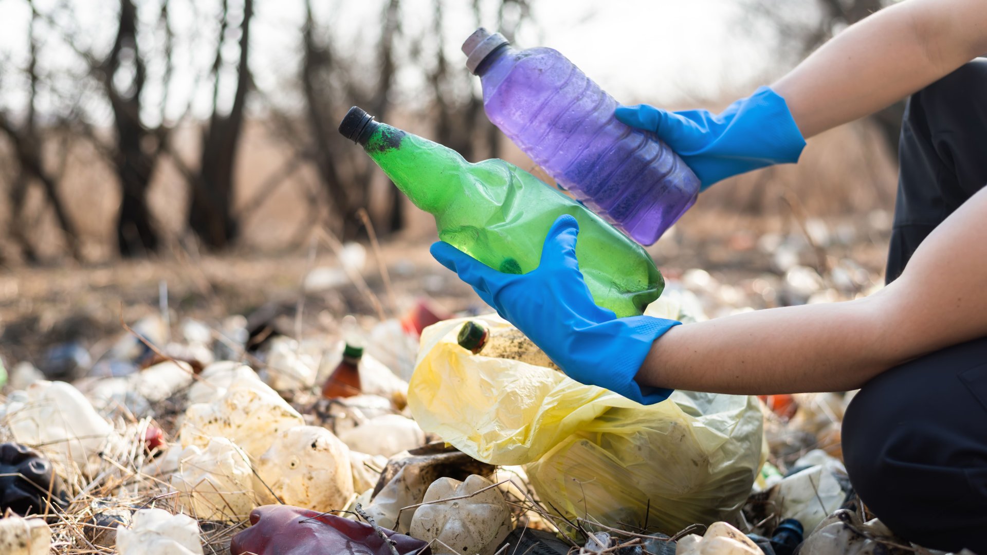 Selo Verde e Marketing Ambiental: Como o PGRS valoriza a marca da sua empresa no mercado
